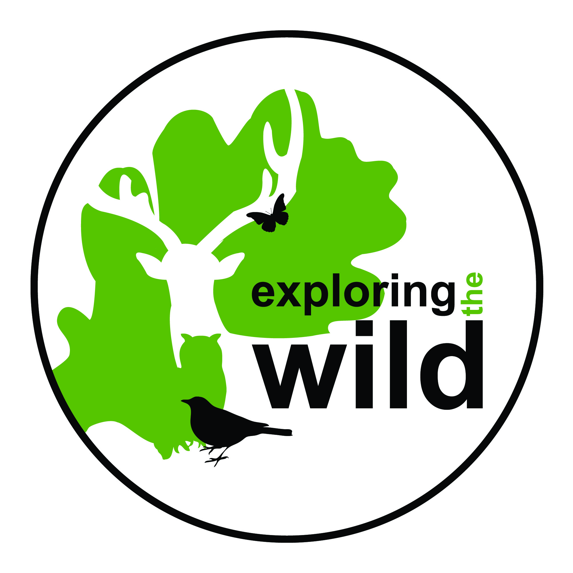 Exploring The Wild