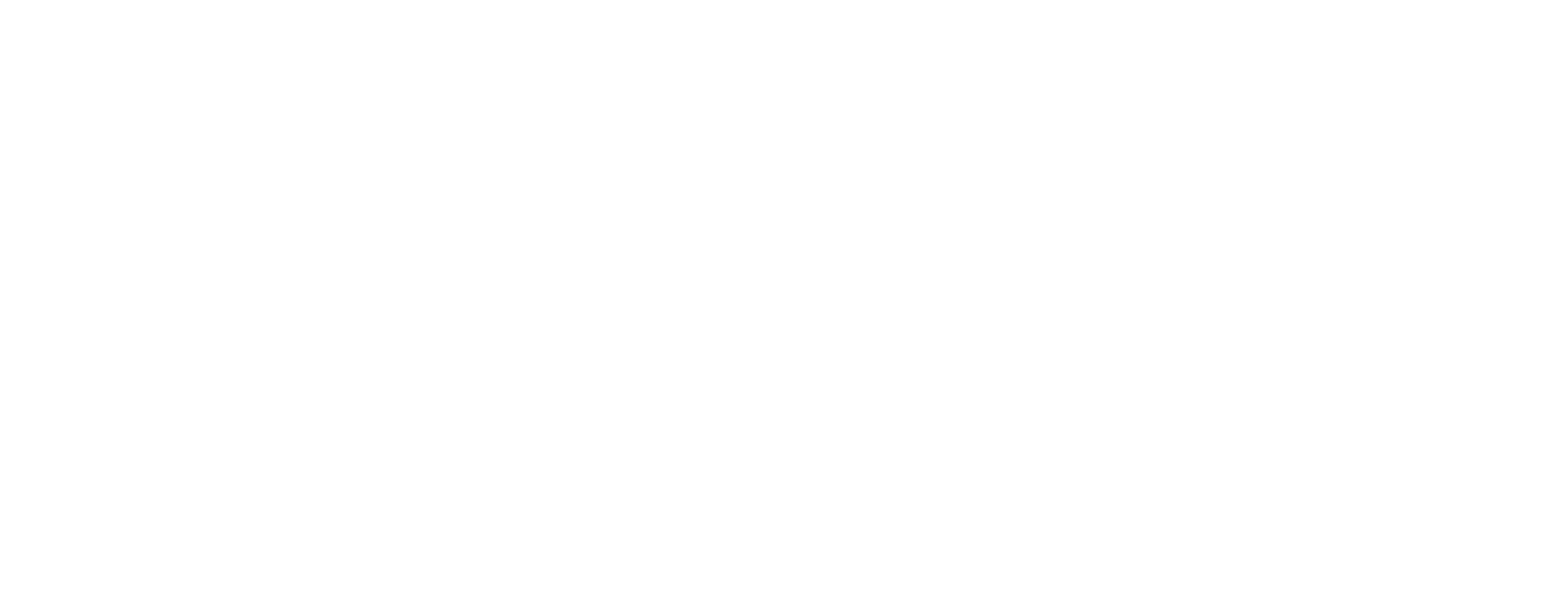 Morph Festival