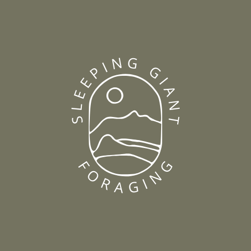 Sleeping Giant Foraging