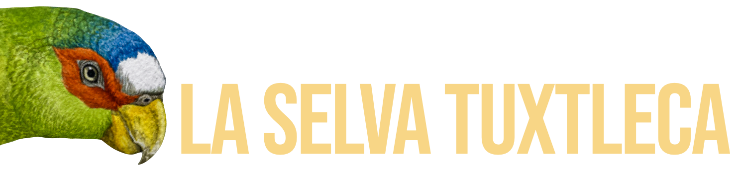 HELIOMASTER