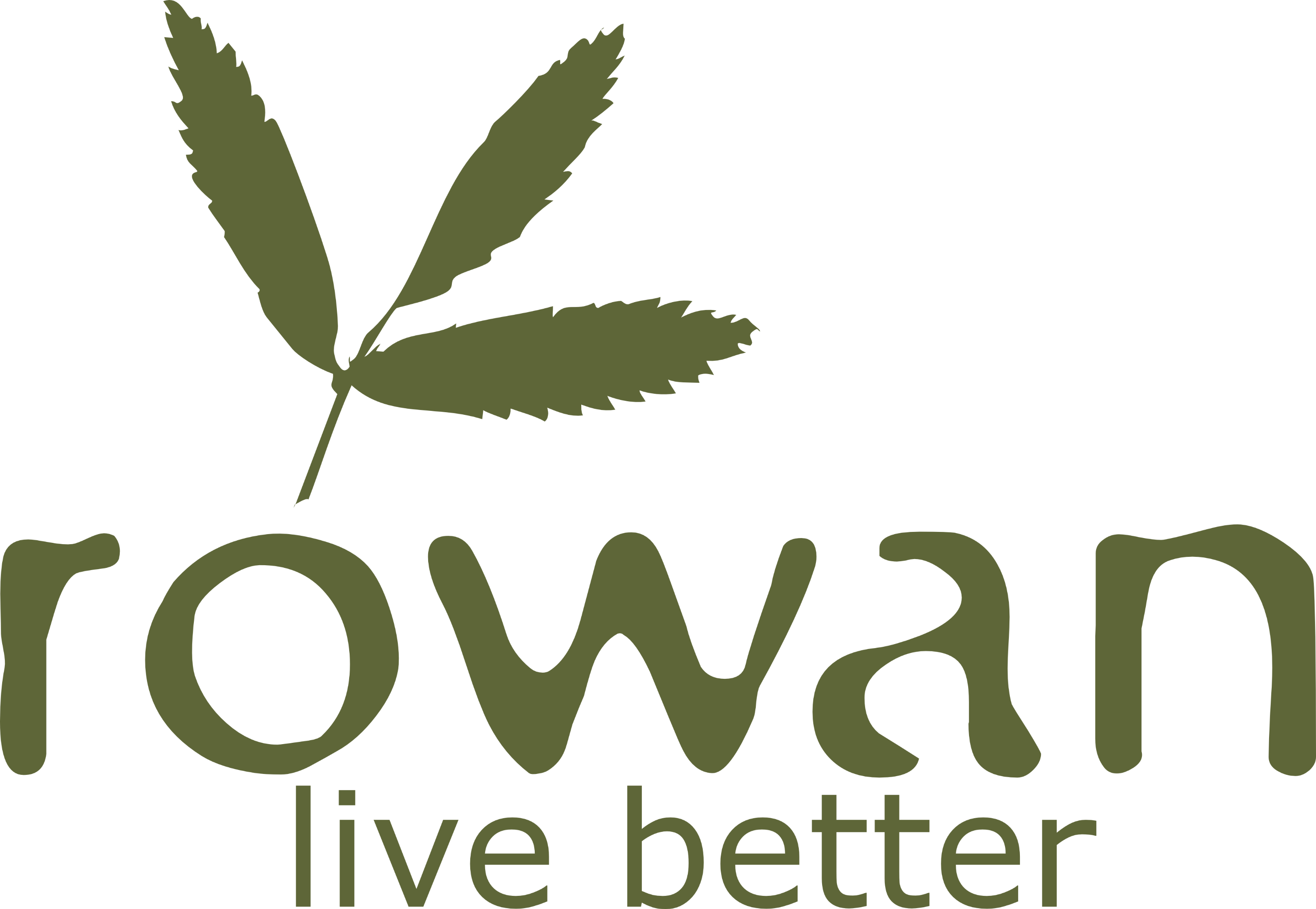 Rowan Consultancy