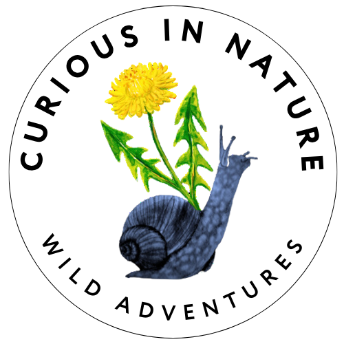 Curious in Nature