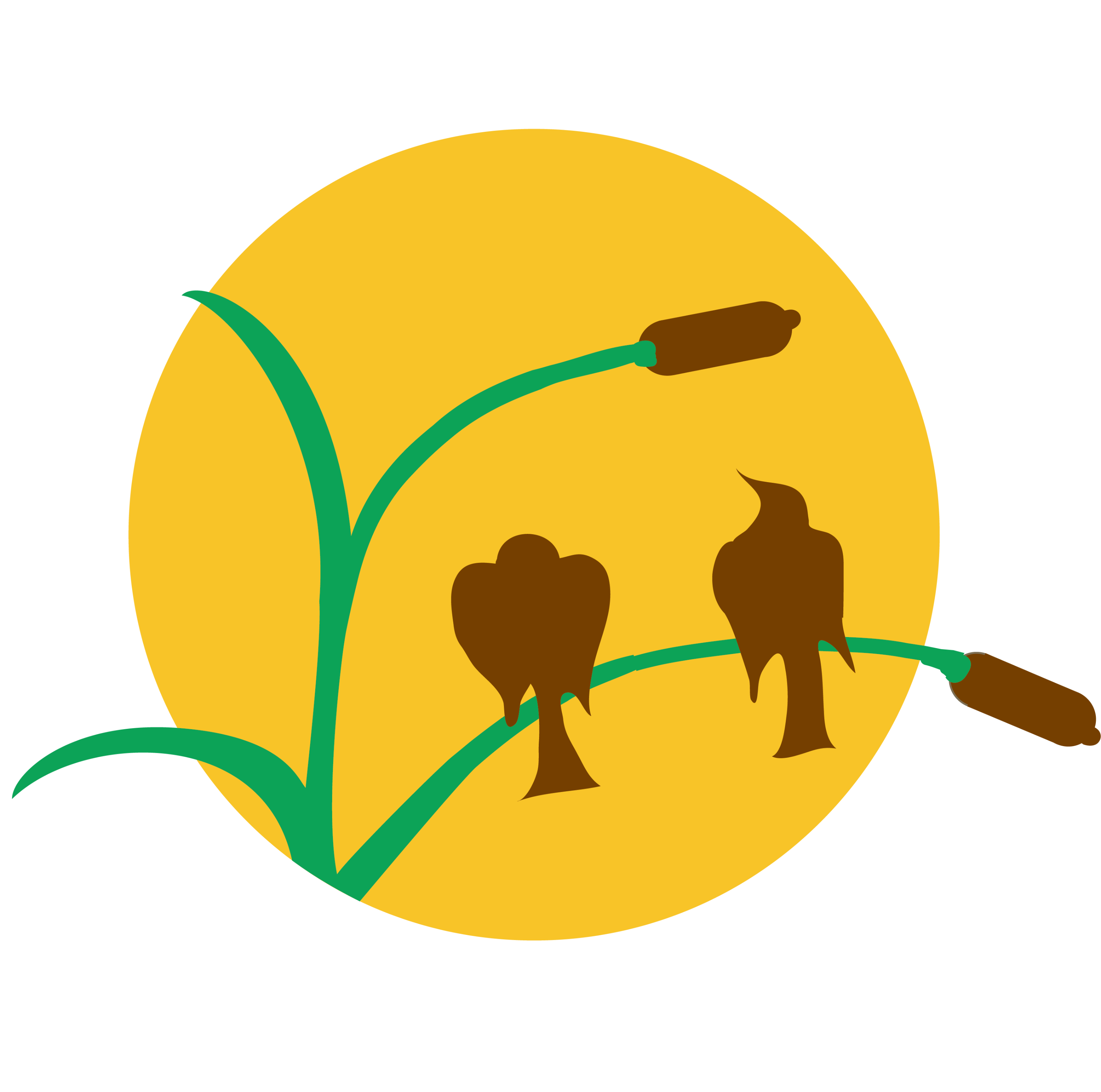 Dane County Humane Society - Camp WildSide