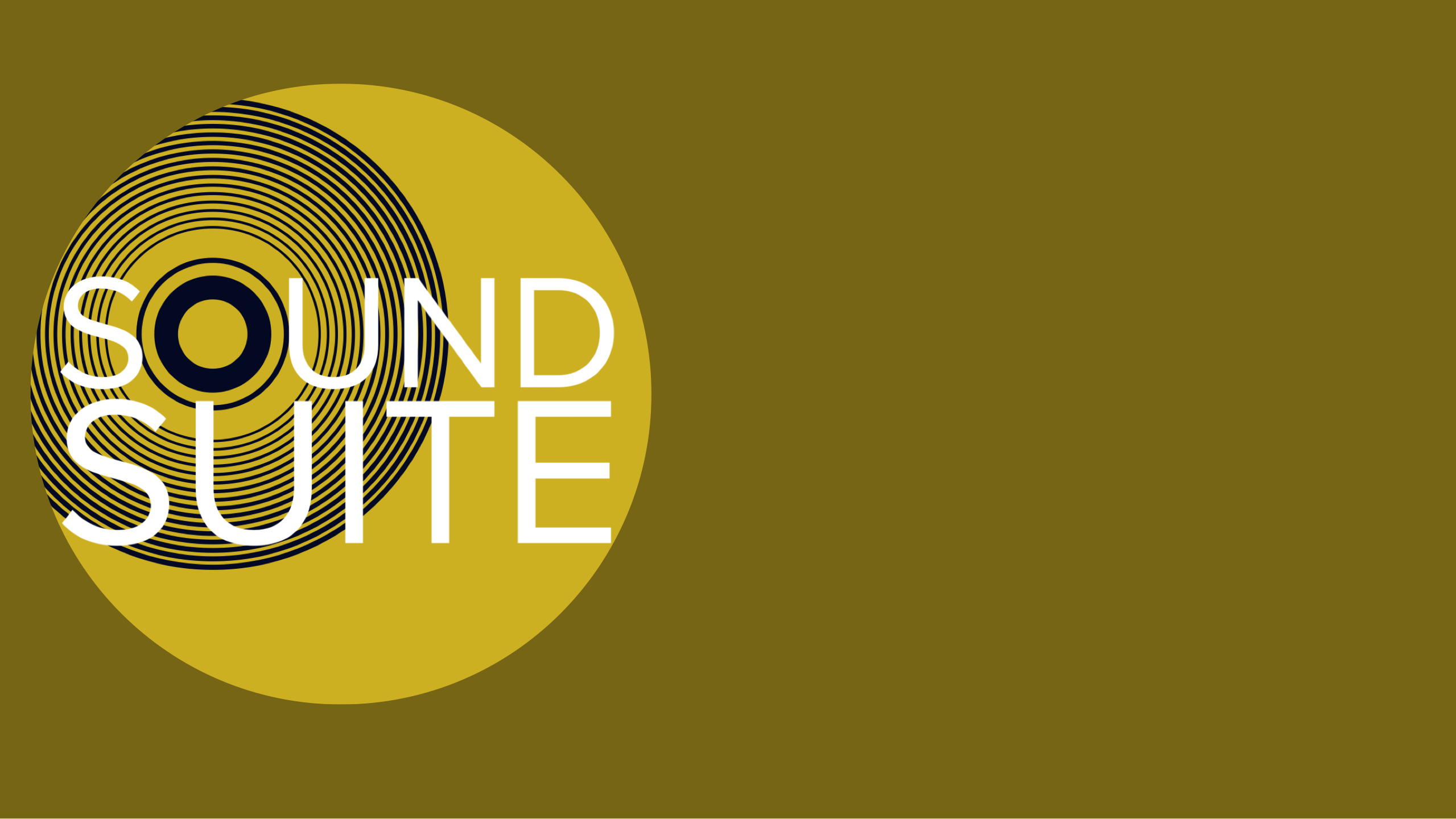 SOUND SUITE™️