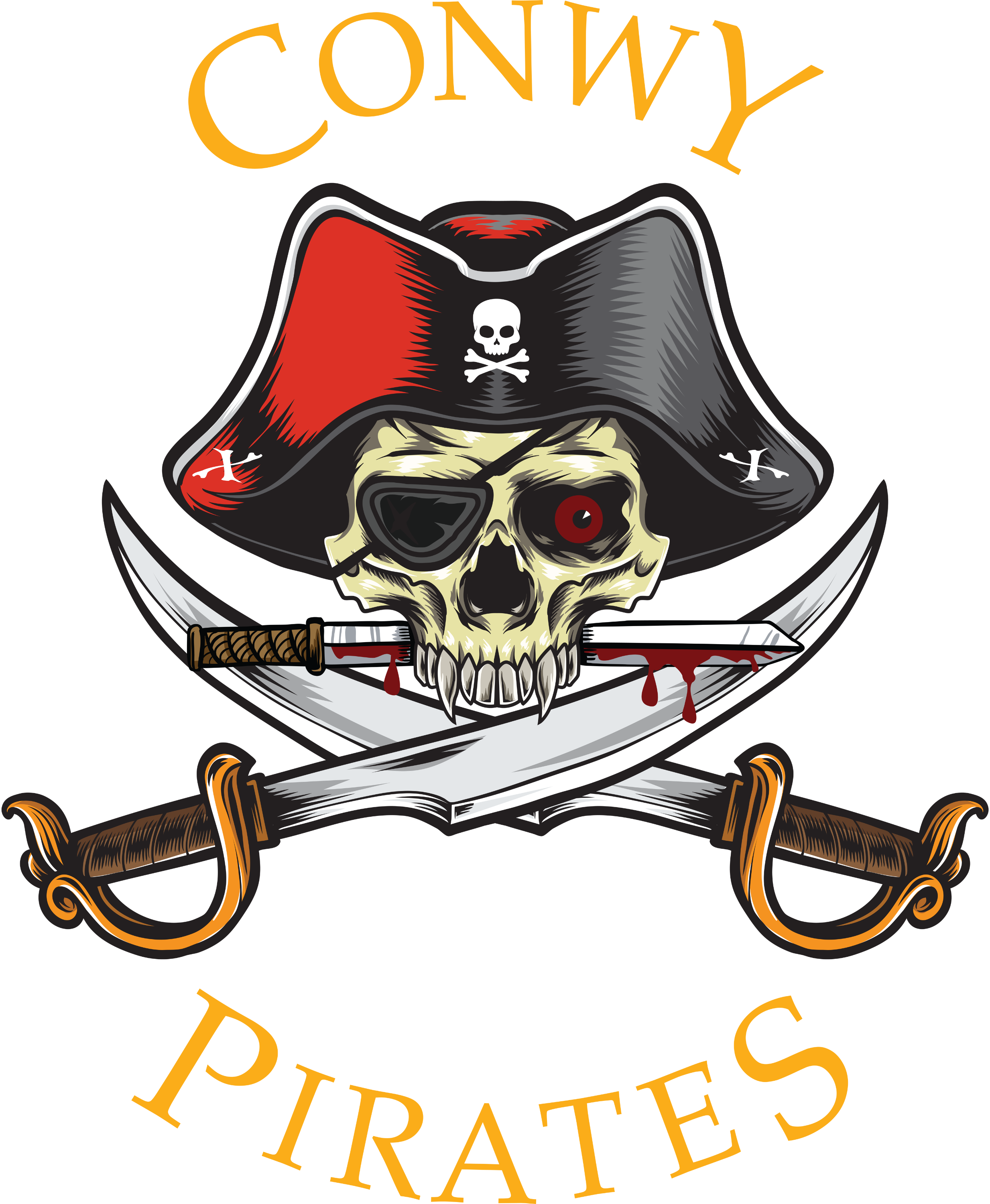 Conwy Pirate Festival 2026
