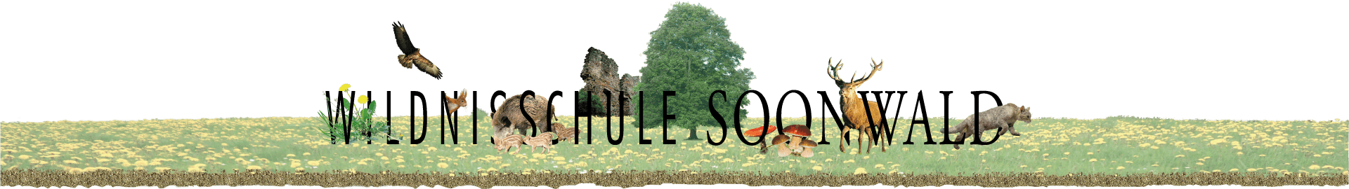 Wildnisschule Soonwald
