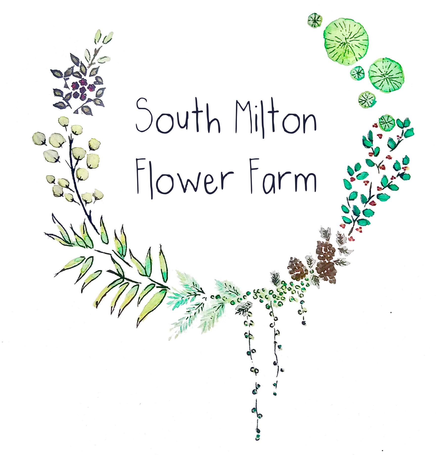 South Milton Flower Farm