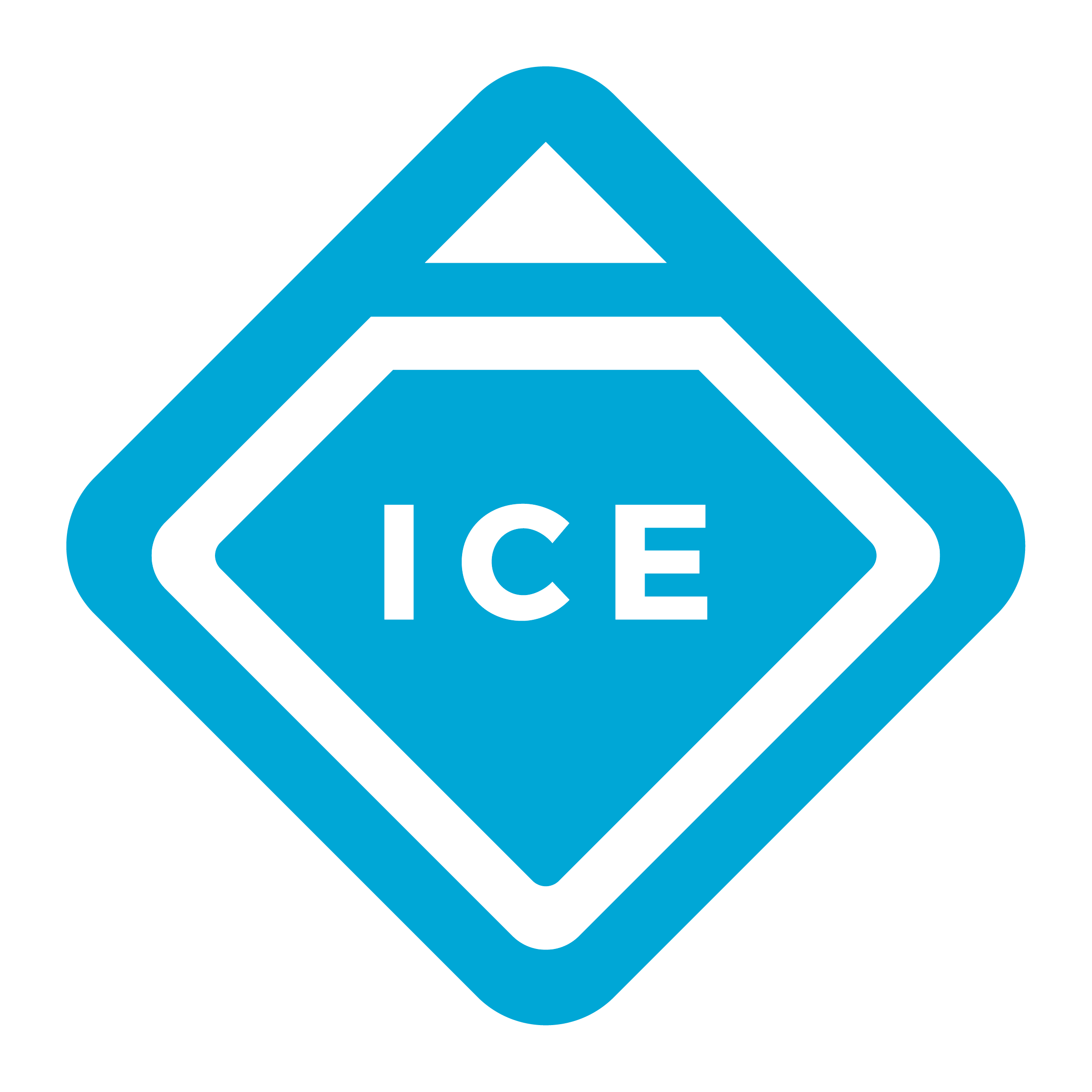 The ICE Network